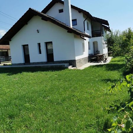 Pensiunea Alina Baia de Fier Exterior photo