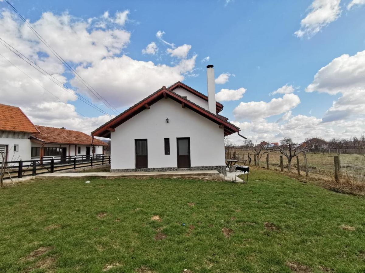 Pensiunea Alina Baia de Fier Exterior photo