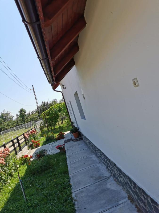 Pensiunea Alina Baia de Fier Exterior photo