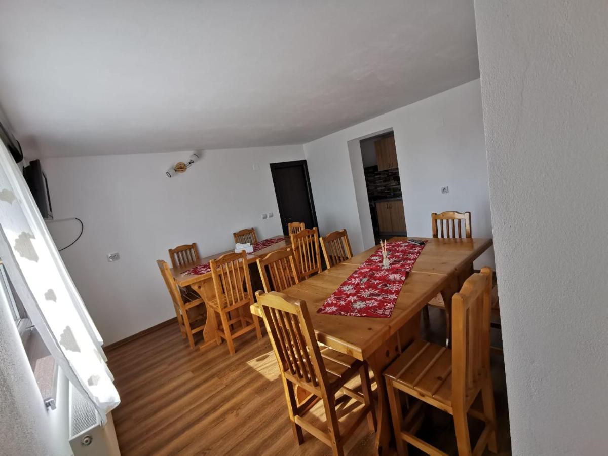 Pensiunea Alina Baia de Fier Exterior photo