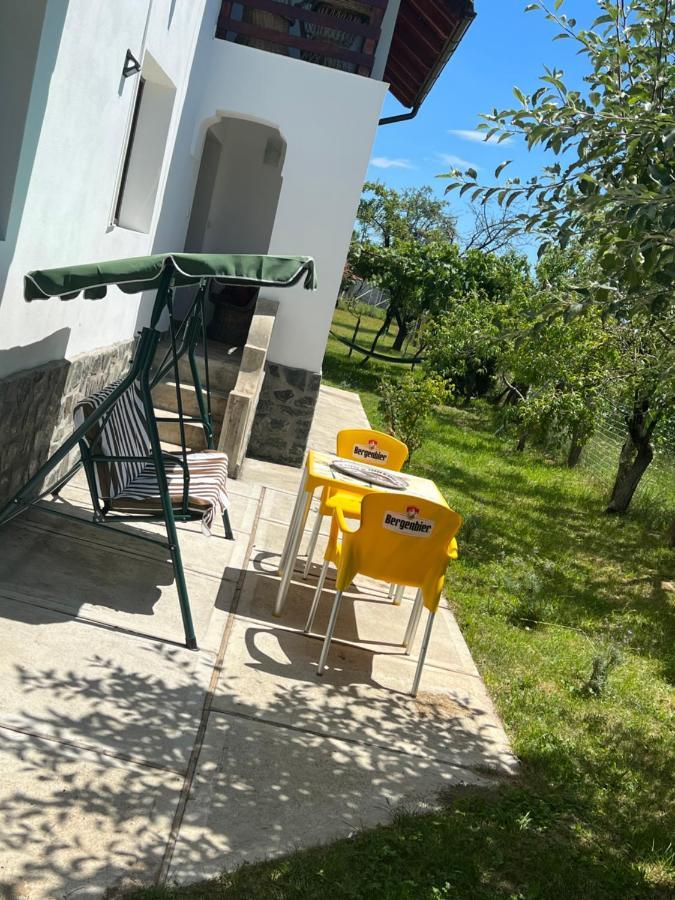 Pensiunea Alina Baia de Fier Exterior photo